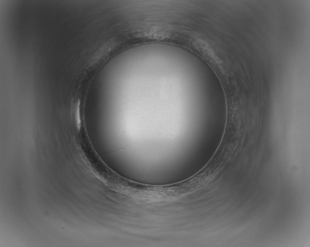 X0000076370020200610061110