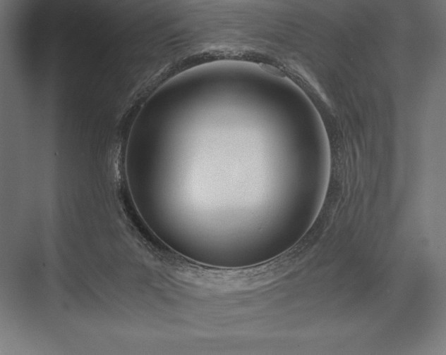 X0000076370023200610061110