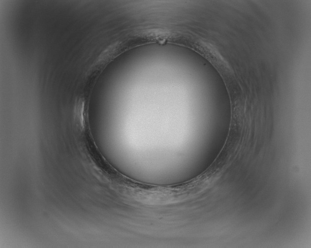 X0000076370024200610061110
