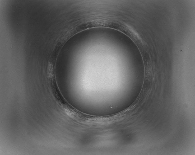 X0000076370025200610061110