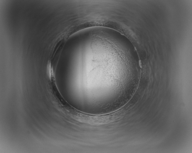 X0000076370027200610061110