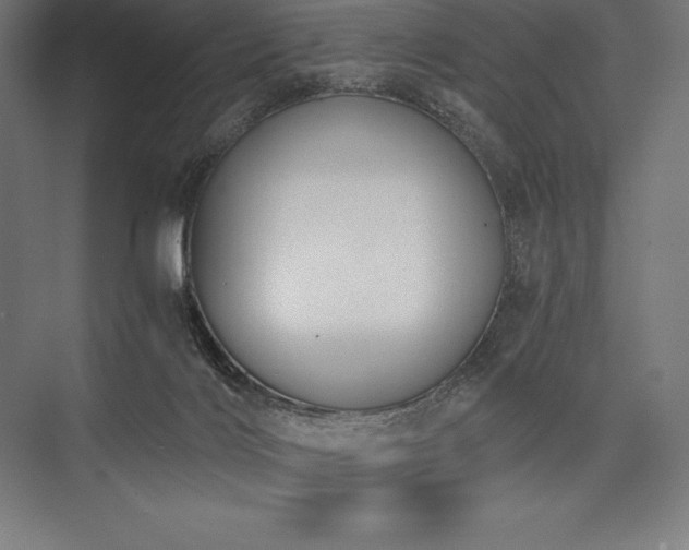X0000076370028200610061110