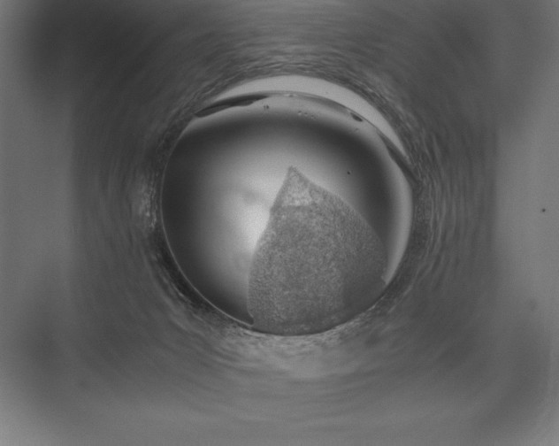 X0000076370031200610061110