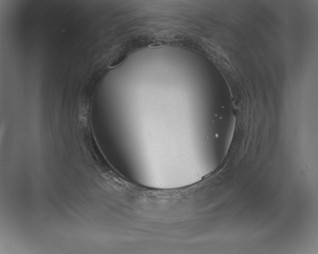 X0000076370033200610061110
