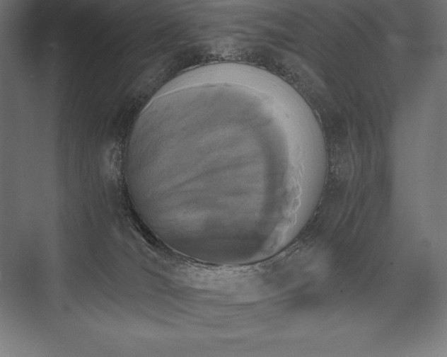 X0000076370036200610061110
