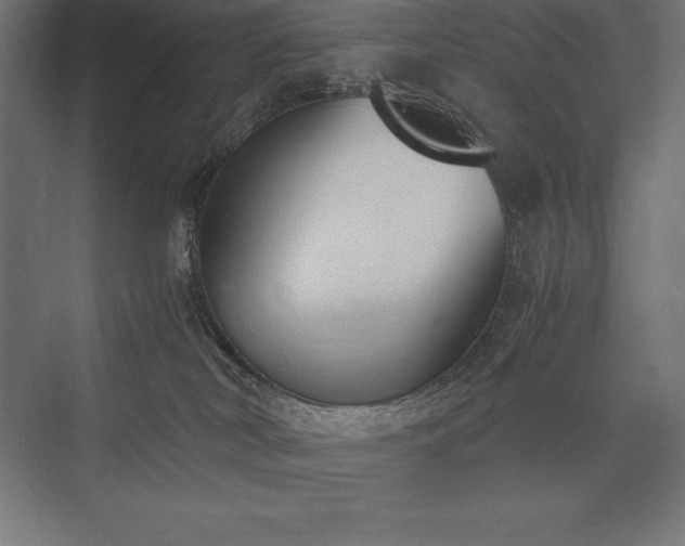 X0000076370038200610061110