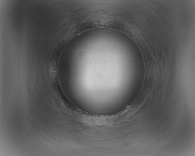 X0000076370040200610061110