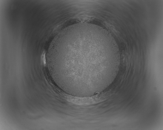 X0000076370042200610061110