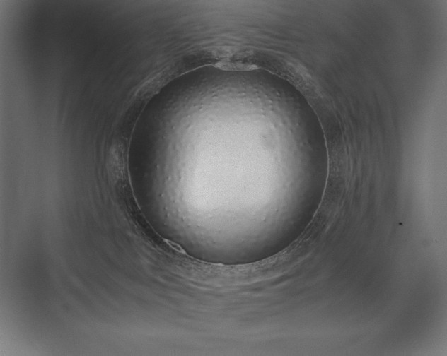 X0000076370043200610061110