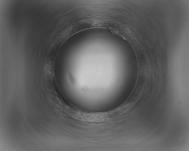 X0000076370044200610061110