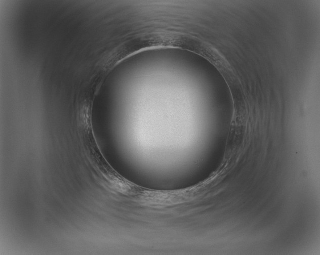 X0000076370045200610061110