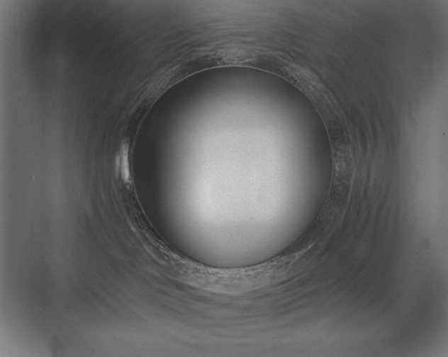 X0000076370046200610061110