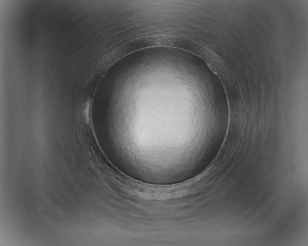 X0000076370047200610061110