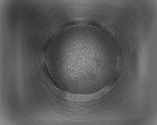 X0000076370048200610061110