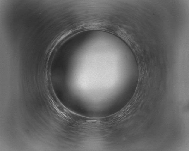 X0000076370050200610061109