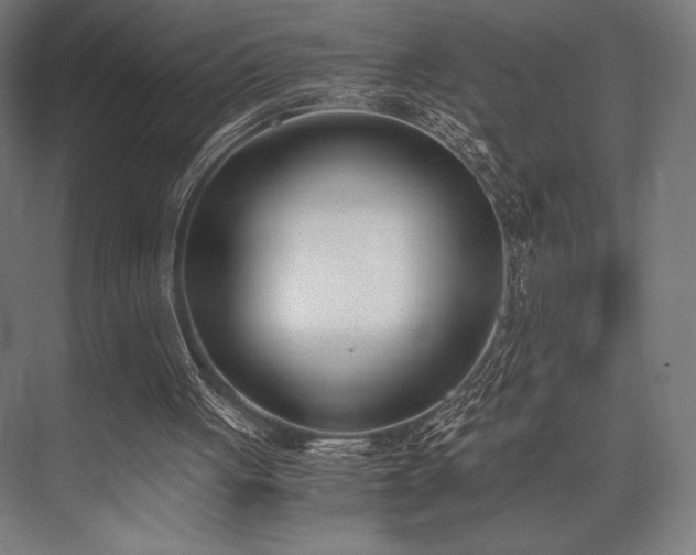 X0000076370051200610061109