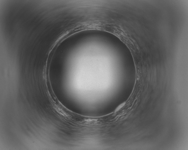 X0000076370052200610061109