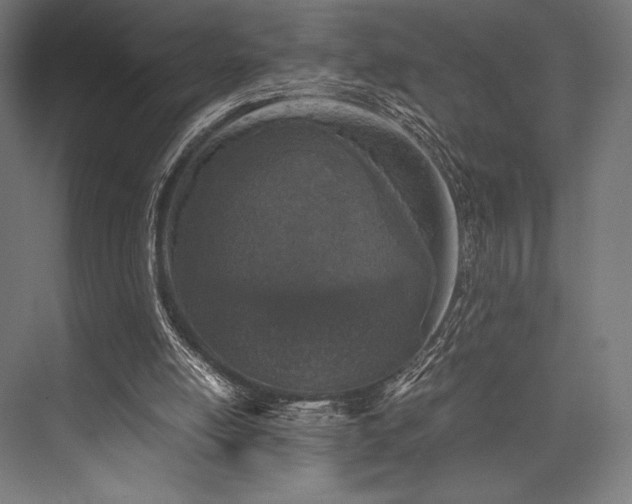 X0000076370054200610061109