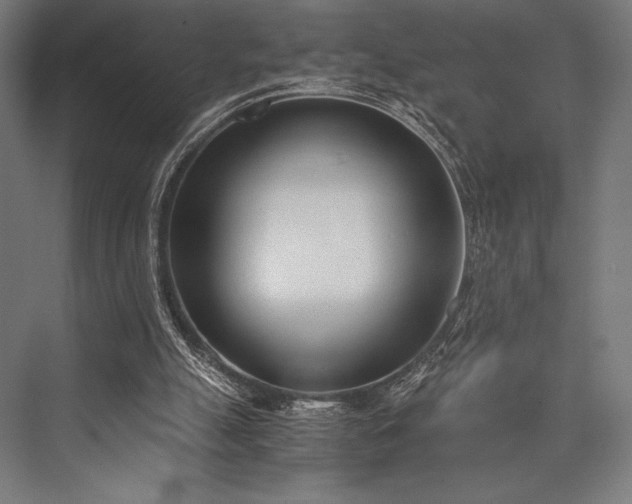 X0000076370055200610061109