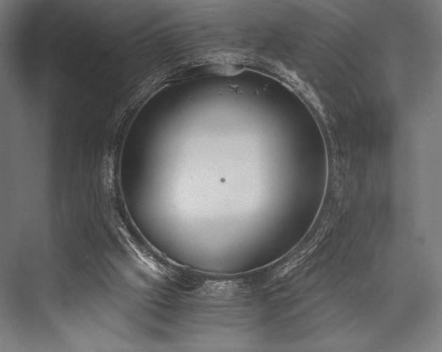 X0000076370057200610061109
