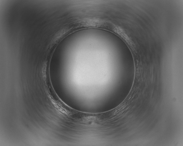 X0000076370058200610061109