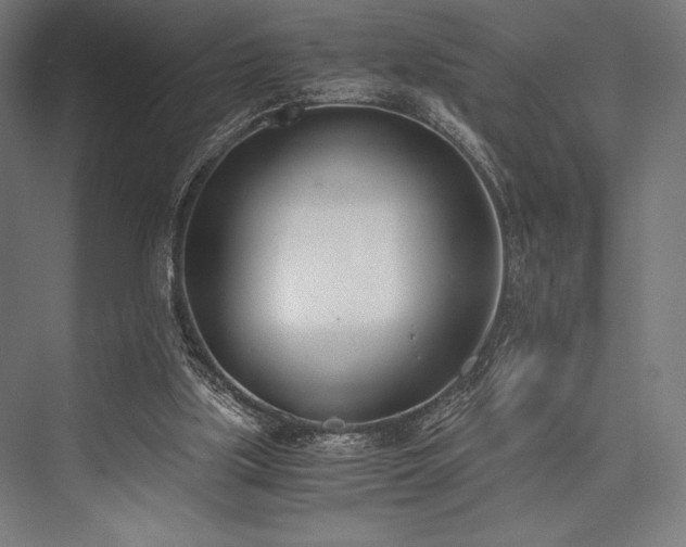 X0000076370059200610061109