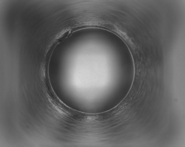 X0000076370060200610061109