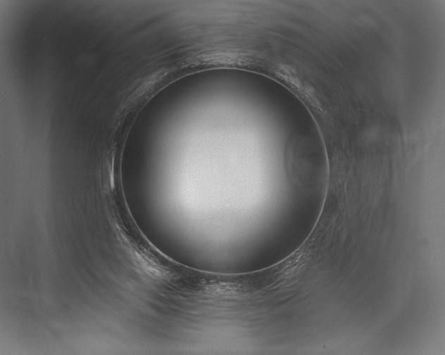 X0000076370062200610061109