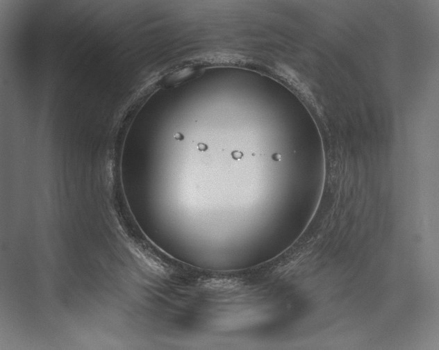 X0000076370063200610061109