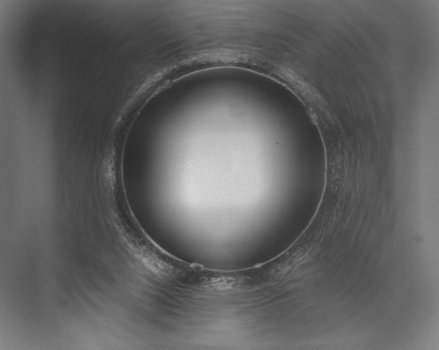 X0000076370064200610061109