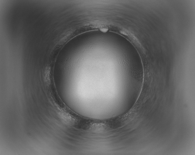 X0000076370066200610061109