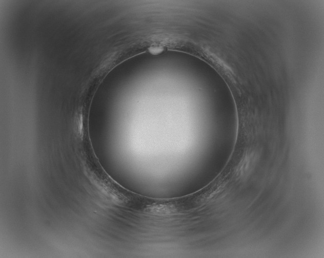 X0000076370067200610061109