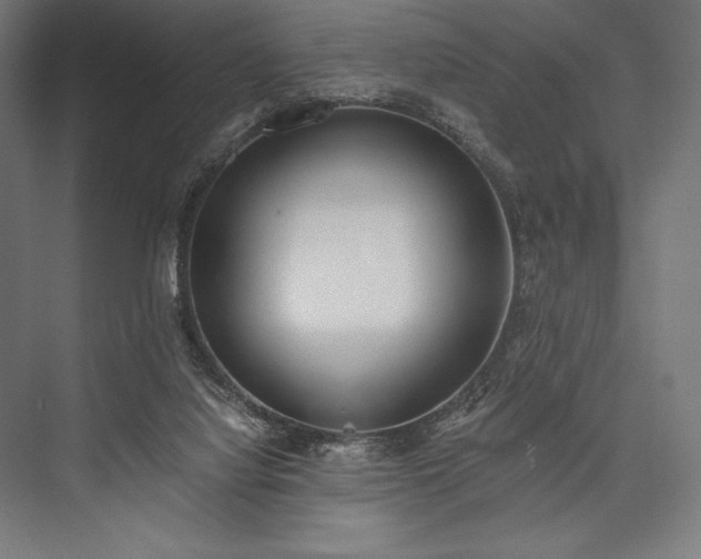 X0000076370068200610061109