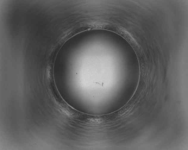 X0000076370071200610061109