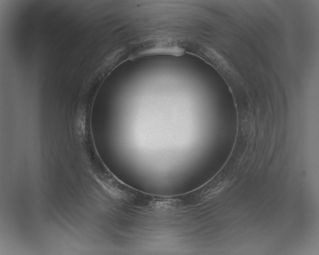 X0000076370072200610061109