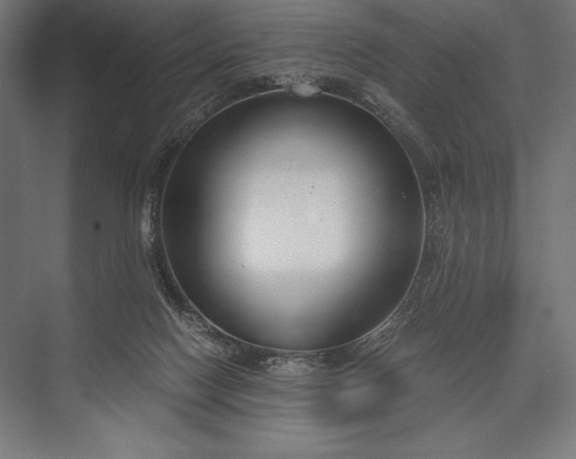 X0000076370074200610061109