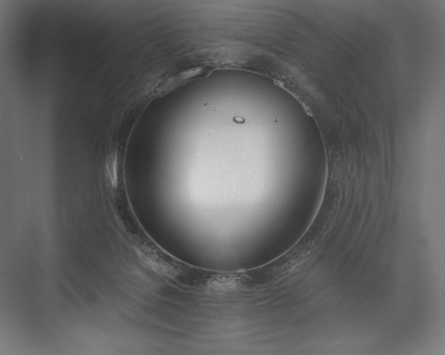 X0000076370076200610061109