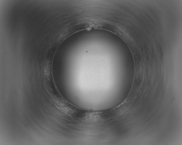 X0000076370078200610061109