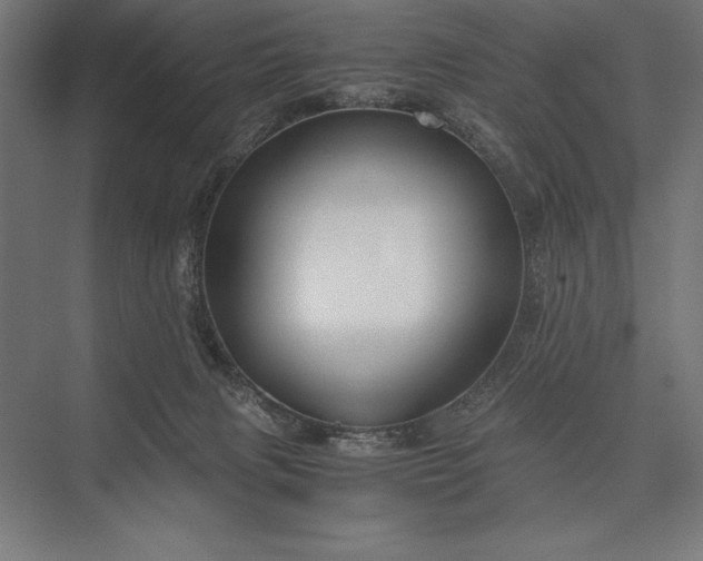 X0000076370079200610061109