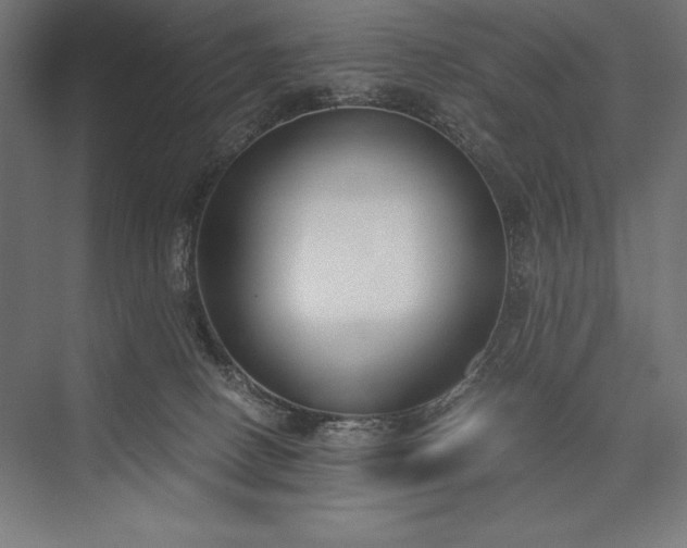 X0000076370082200610061109