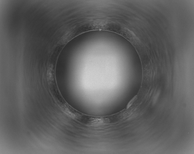 X0000076370083200610061109