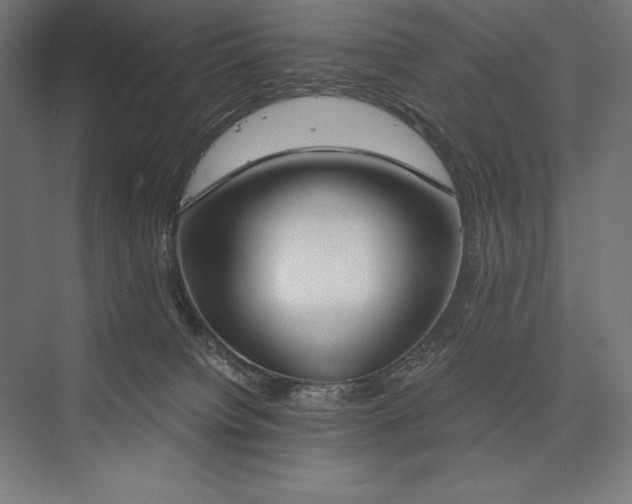 X0000076370084200610061109