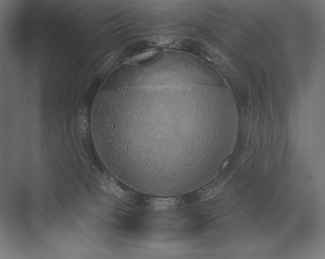 X0000076370085200610061109