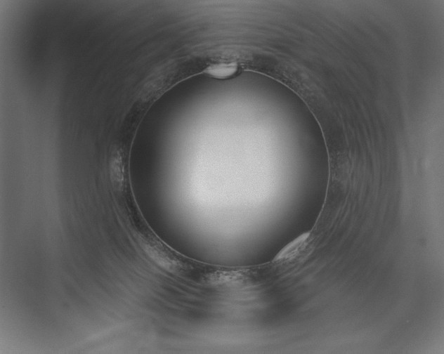 X0000076370086200610061109