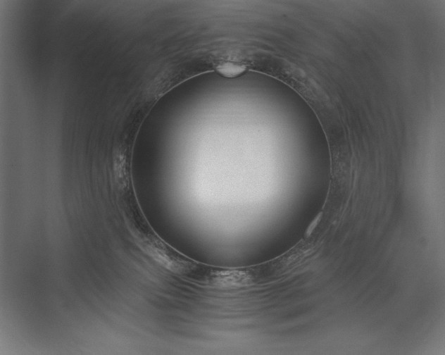 X0000076370087200610061109