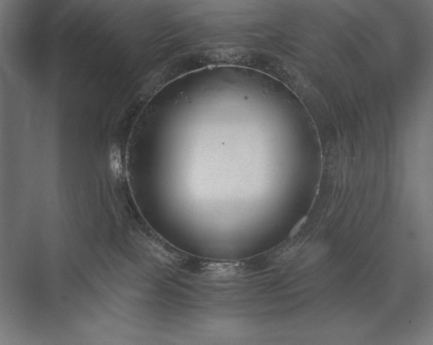 X0000076370089200610061109