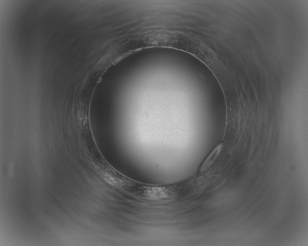 X0000076370091200610061109