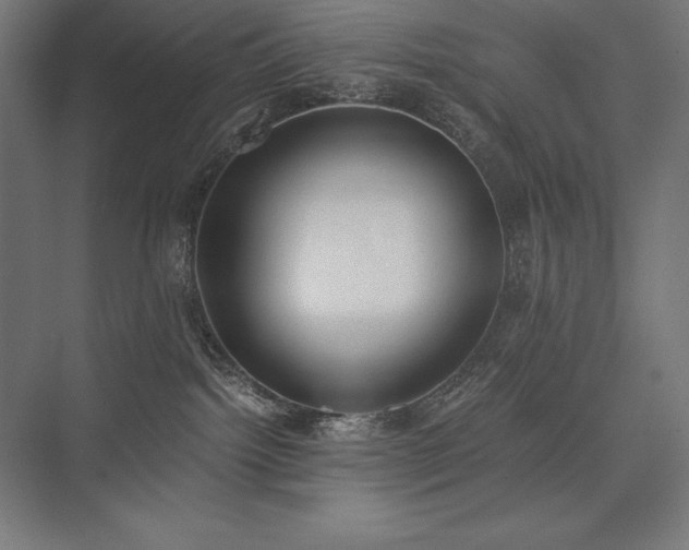 X0000076370092200610061109