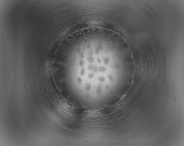 X0000076370093200610061109