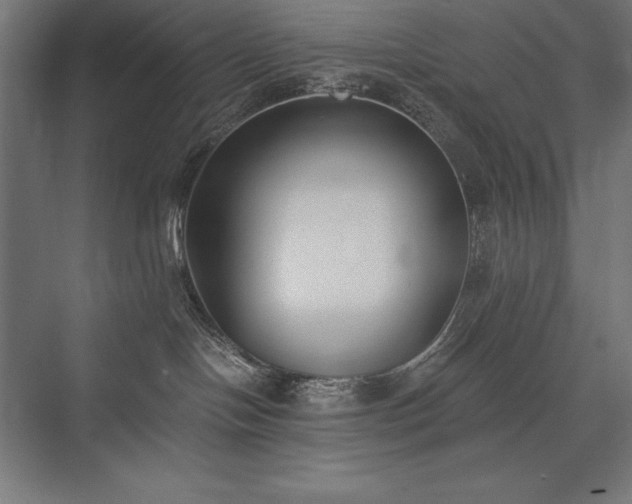 X0000076370094200610061109